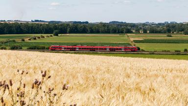 Ein Zug fährt durch eine grüne Landschaft mit Feldern.