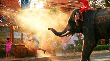 Ein Elefant bespritzt Menschen mit Wasser. 