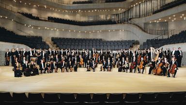 Die Musiker*innen des NDR Elbphilharmonie Orchesters posieren vor den leeren Rängen eines großen Konzertsaals.