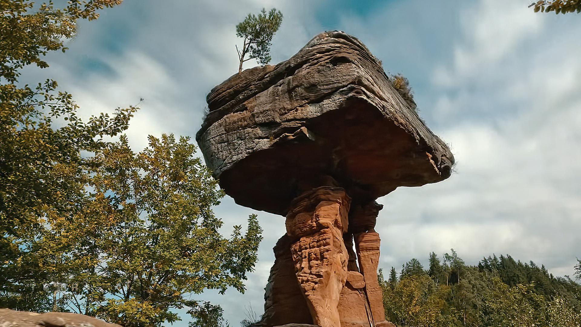 Ein großer, pilzförmiger Felsen überragt die Bäume neben sich. 