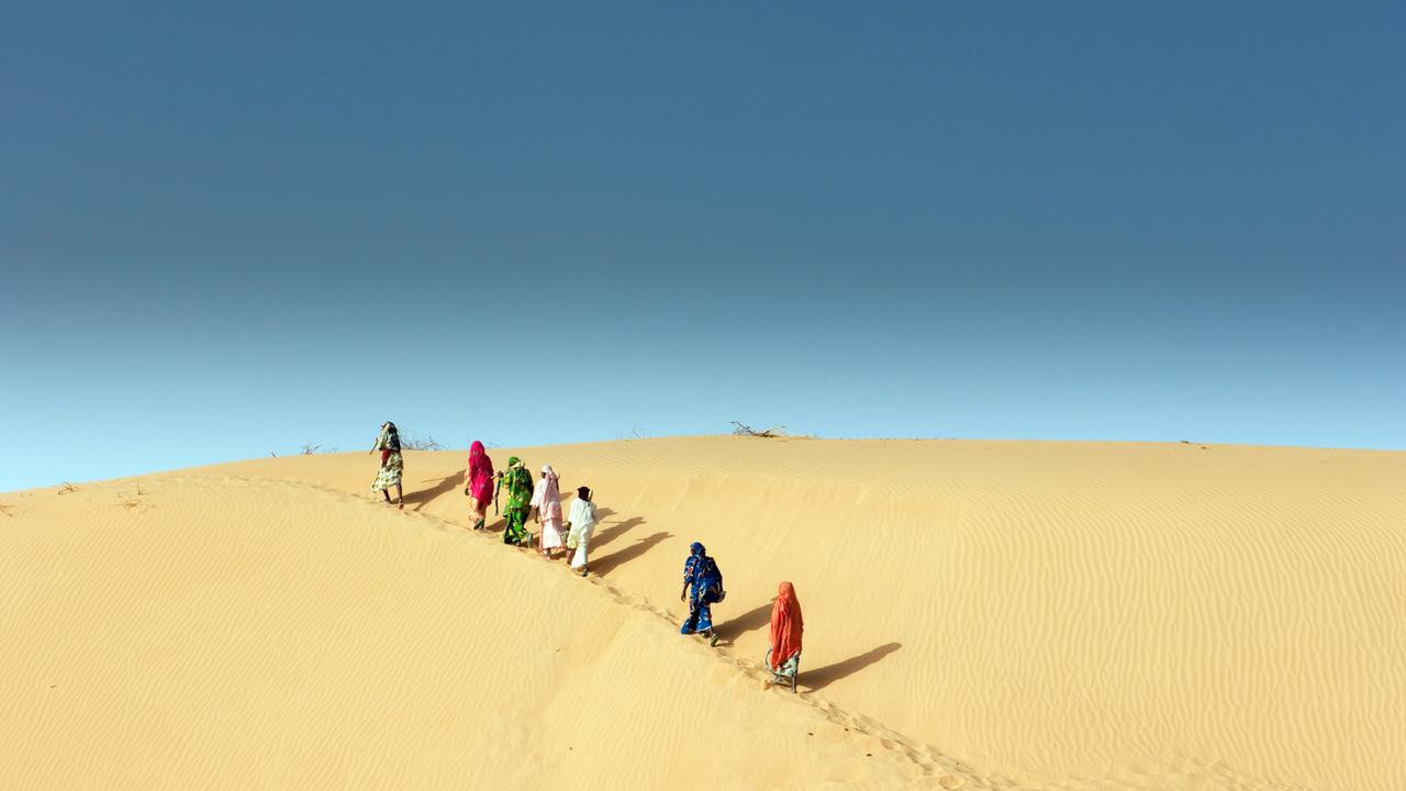 Kanurifrauen sammeln Feuerholz