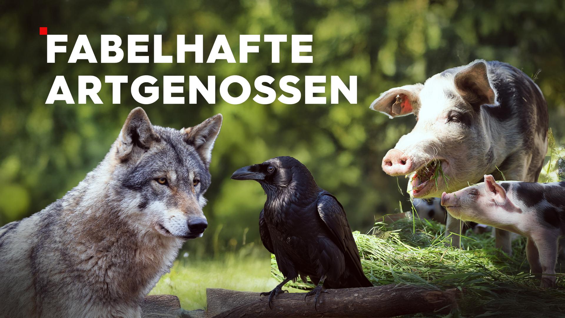 Fabelhafte Artgenossen Sendetypical