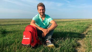 Ein Mann sitzt in einer Wiese.