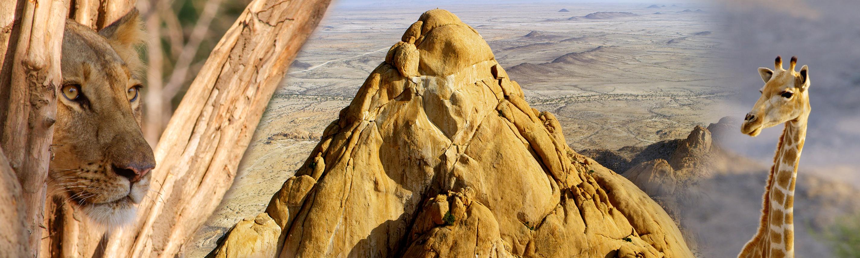 Sendebereich Hintergrund „Faszination Afrika"