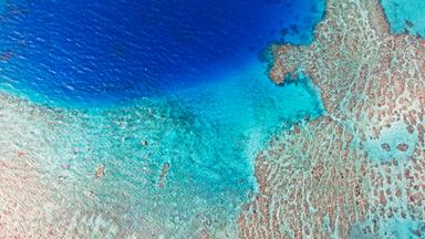 Luftansicht eines Riffs unter Wasser.