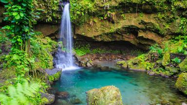 Emerald Pool im Regenwald auf der Insel Dominica