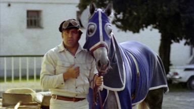 Man sieht einen Pferdetrainer mit einem Rennpferd.