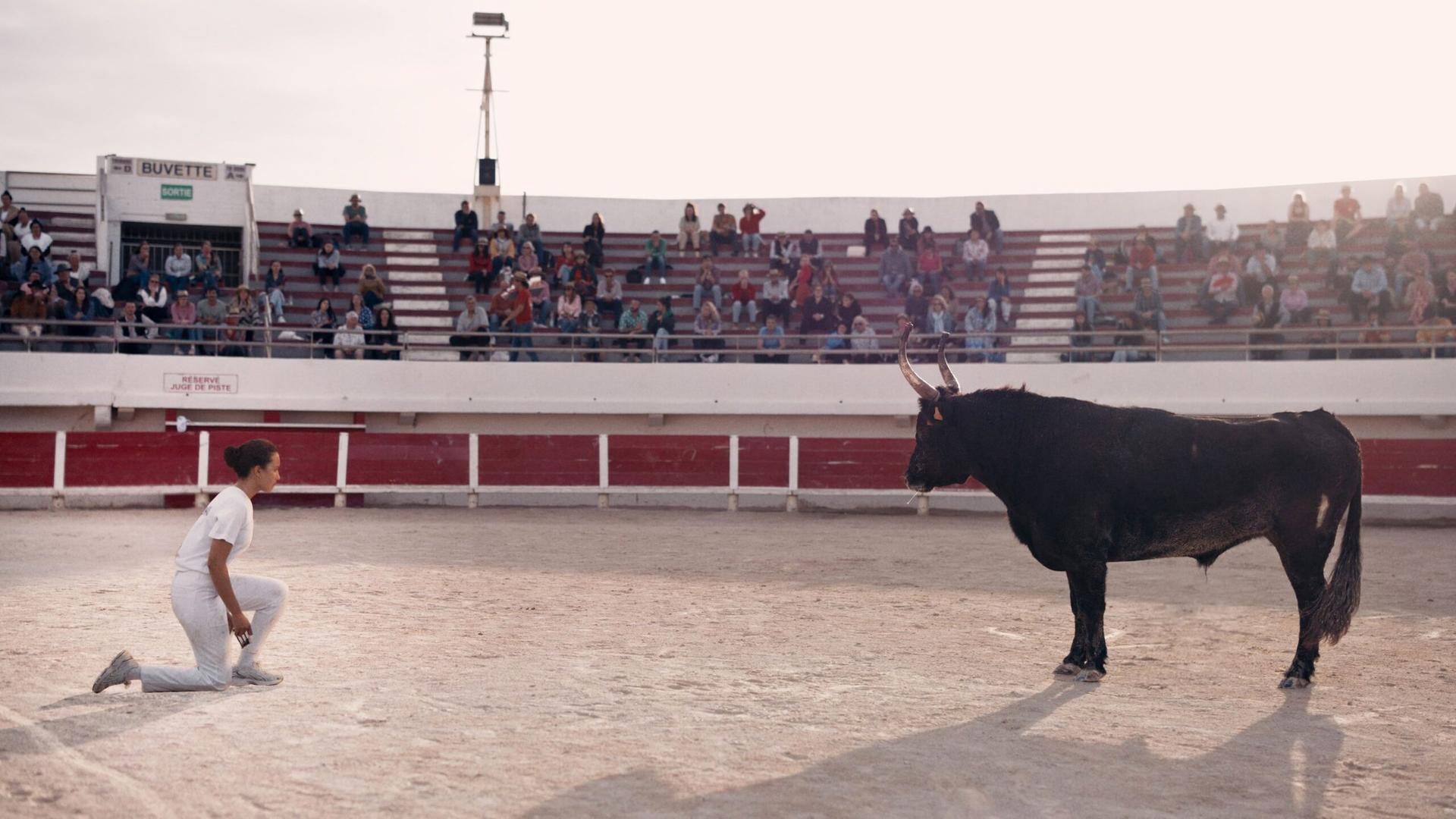 Eine Stierkämpferin kniet in der Arena vor einem Stier.