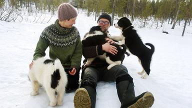 Ein paar mit Hundewelpen im Schnee.
