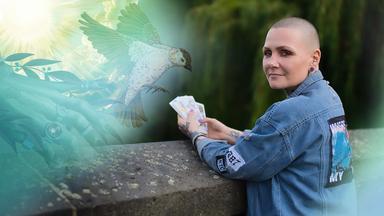 "37°Leben - Suche nach dem Spirit": Tarot