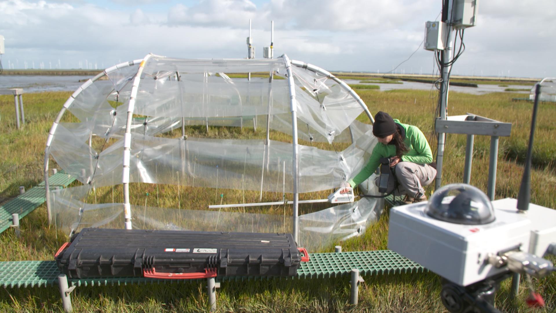 Eine Forscherin kniet neben einer Kuppel aus Aluminium und Plastik auf einer Wiese und überprüft den Lichteinfall.