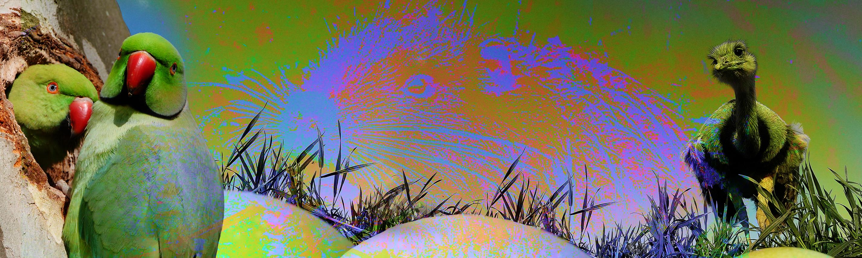 Freche Viecher Sendebereich Hintergrund 2850x855