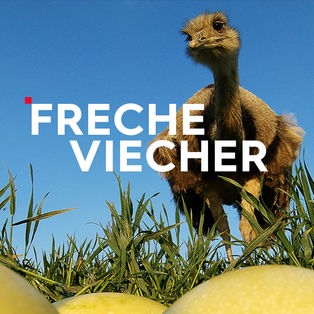 Freche Viecher   Sendetypical 2400x1350 16zu9