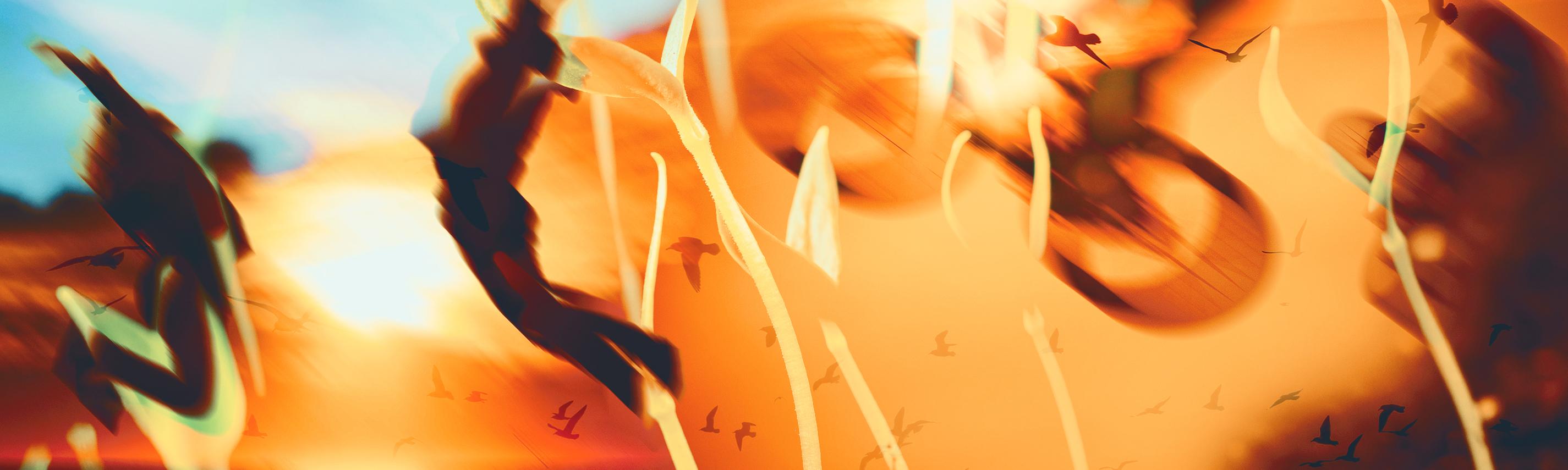 hintergrund freizeit