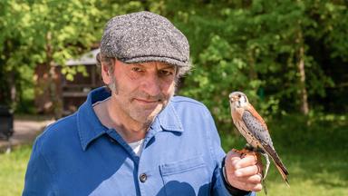 Nahaufnahme von Mann mit Kappe, auf seiner Hand sitzt ein Falke