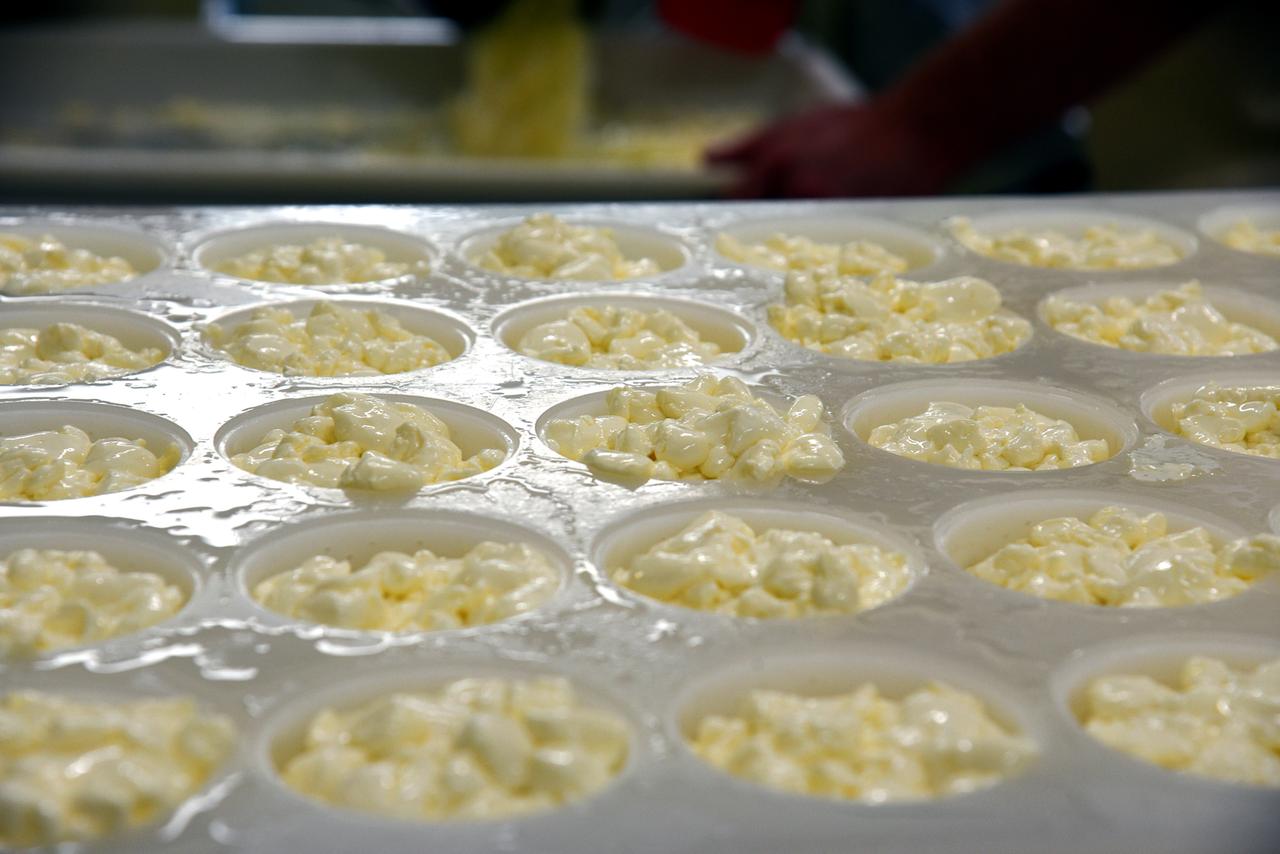 Vorstufe in kleinen Formen abgefüllt