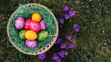 Bunte Ostereier in einem Körbchen auf einer Wiese.