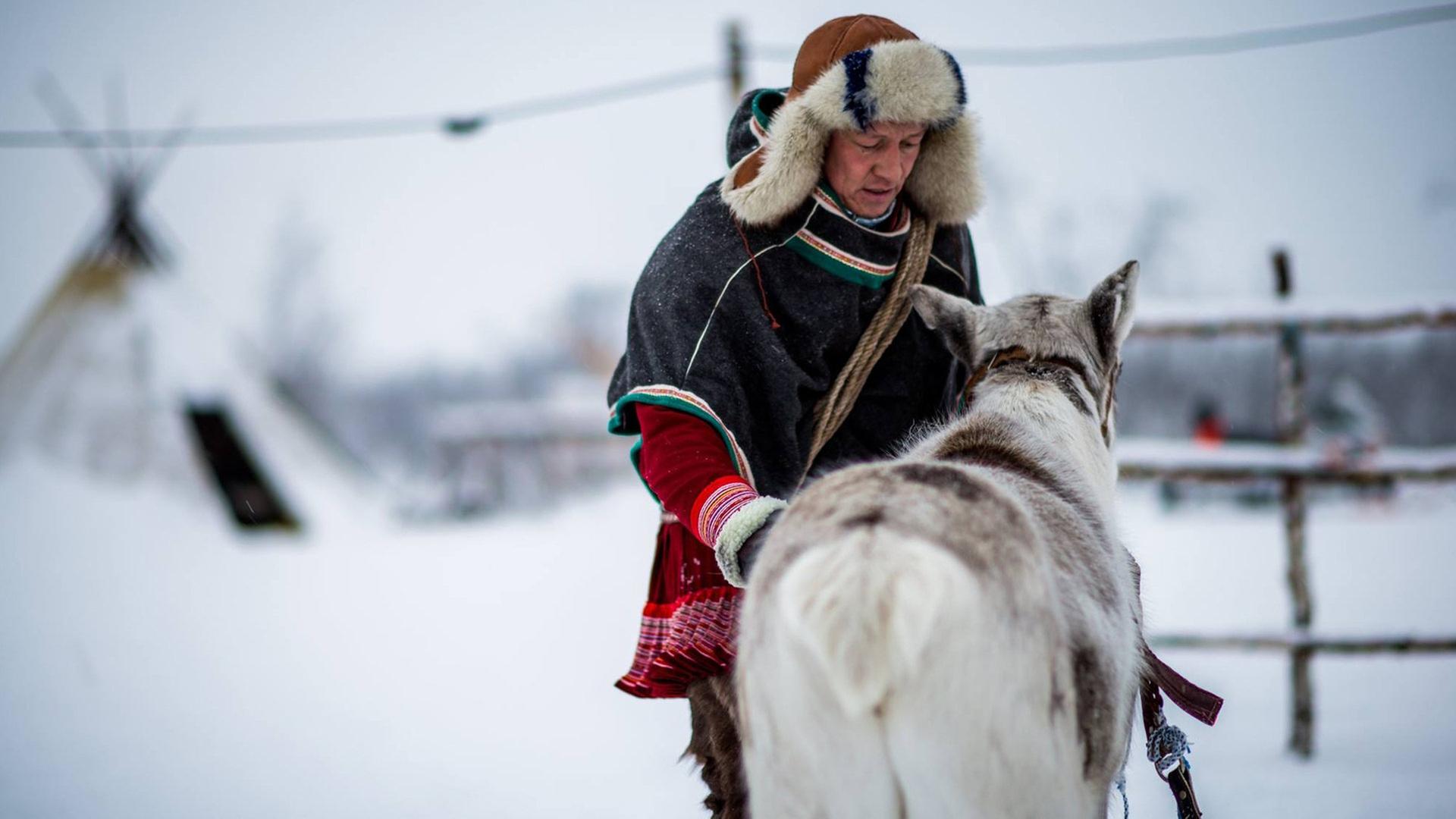 Ein Mann in Sámi-Tracht steht bei einem Rentier.