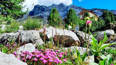 Ein kleiner Garten auf einem Berg.