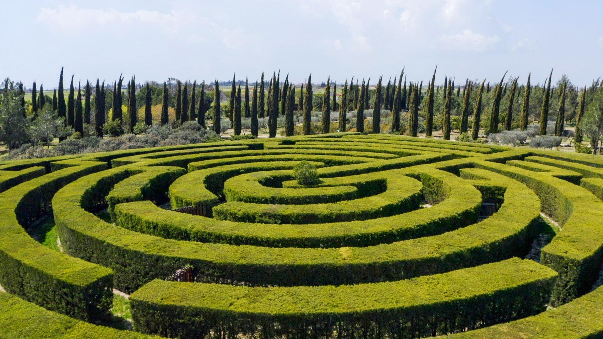 Ein Irrgarten von oben