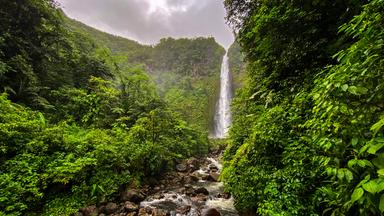 Der tropische Regenwald mit den höchsten Wasserfällen der kleinen Antillen.