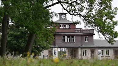 Blick durch die Zweige eines Baumes auf ein großes Torgebäude mit Uhr.