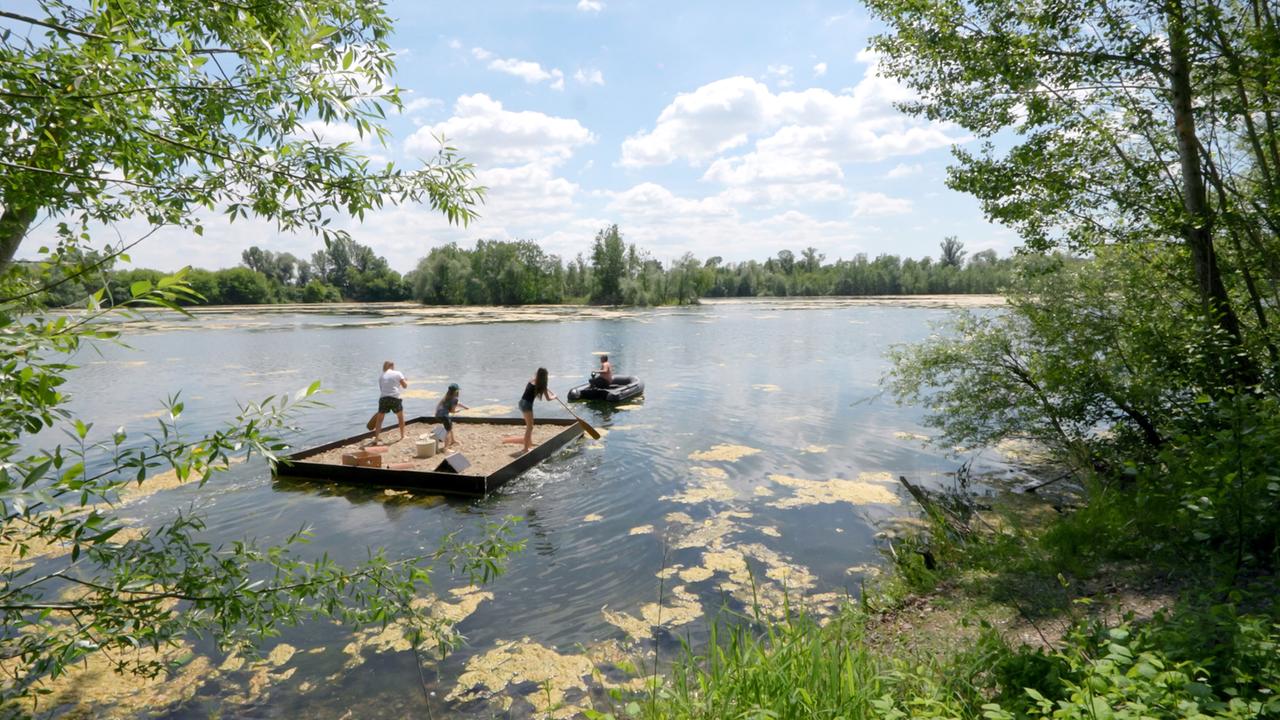Das Bild zeigt eine idyllische Naturszene an einem Gewässer, umgeben von reichem Grün. In der Mitte des Bildes befindet sich ein mit Kies gefülltes Floß, auf dem eine Person steht und mit einem Paddel arbeitet. Neben ihr steht ein Kind, während eine weitere Person sitzt, möglicherweise beim Fischen oder Beobachten der Umgebung. Zu ihrer Linken ist ein kleines motorisiertes Boot zu sehen, in dem eine weitere Person sitzt.  Im Hintergrund erstreckt sich der ruhige See, der mit Algen- und Pflanzenresten bedeckt ist. Am Ufer wachsen Bäume, und die Vegetation ist üppig. Der Himmel ist blau mit einigen weißen Wolken, was auf einen sonnigen Tag hindeutet. Die gesamte Szene vermittelt einen Eindruck von Erholung und Naturverbundenheit.   Die Darstellung spiegelt die Bemühungen wider, den Auwald und seine Tierwelt wiederherzustellen, wie es im begleitenden Text beschrieben ist.