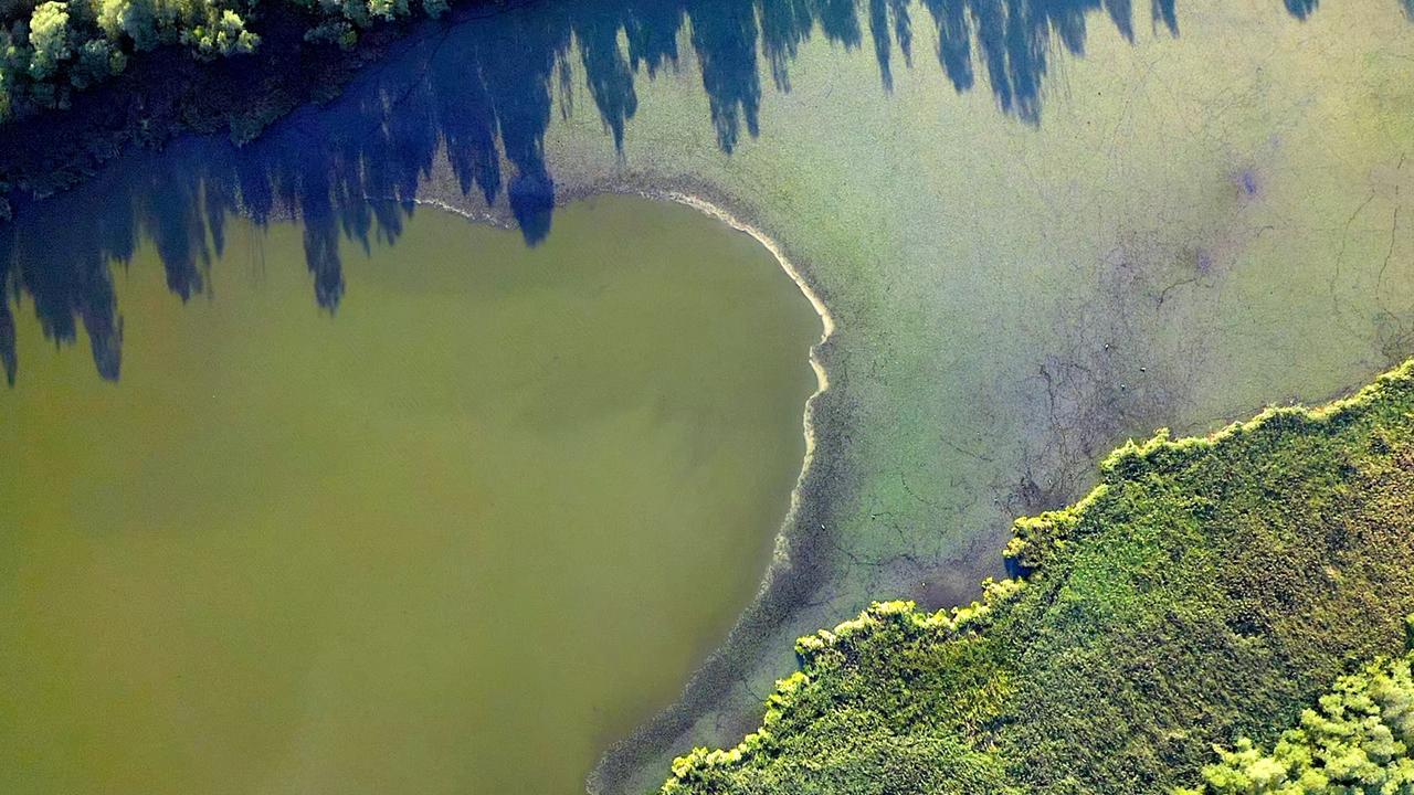 Das Bild zeigt eine Luftaufnahme einer Aulandschaft in der Grenzmur-Au. Im Vordergrund erstreckt sich ein ruhiges Gewässer, dessen Oberfläche eine grünliche Farbe hat. Um das Wasser herum liegen Schilf- und Pflanzenflächen, die in verschiedenen Grüntönen schimmern. Am Rand des Wassers ist ein sandiger Streifen sichtbar, der teilweise trocken ist.   Im Hintergrund sind hohe, dunkle Baumkronen zu erkennen, die sich im Wasser spiegeln, und die Schatten der Bäume fallen auf die Wasseroberfläche. Die gesamte Landschaft vermittelt den Eindruck von Ruhe und einem naturnahen Lebensraum, der durch Wasser und Vegetation geprägt ist.   Diese Aulandschaft bietet Lebensraum für viele Tiere und Pflanzen und ist ein Beispiel für dynamische und sich ständig verändernde Naturräume.