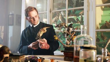 Laiendarsteller Sebastian Peinhaupt als Sankt Lambrechter Pater und Vogelkundler Blasius Hanf, betrachtet sorgfältig einen ausgestopften Vogel in einem historischen Raum umgeben von Vogelpräparaten.