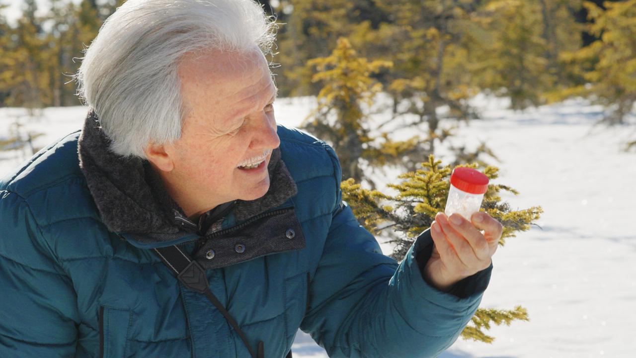 Älterer Mann in blauer Winterjacke betrachtet ein kleines Behältnis in einer verschneiten Moorlandschaft mit sonnigem Himmel.