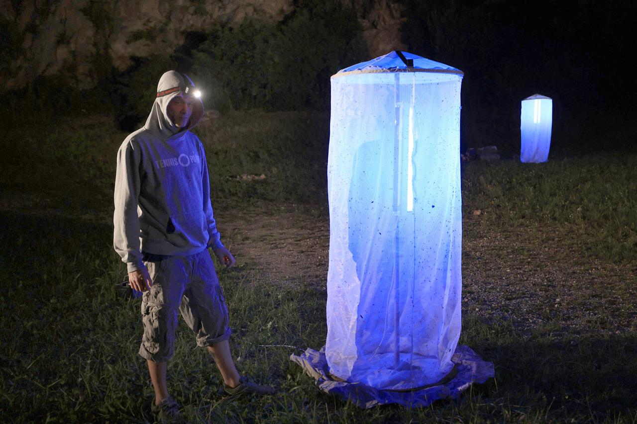 Schmetterlingsexperte Alexander Weihs (Naturschutzbund Steiermark) zählt Nachtfalter mithilfe von Leuchtzelten im aufgelassenen Grazer Steinbruch Hauenstein. 