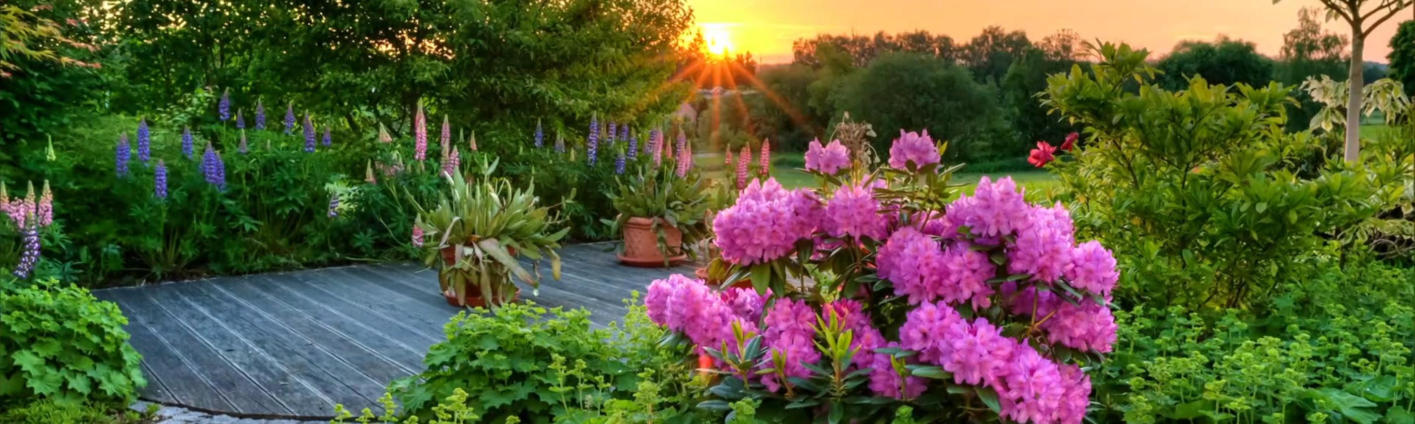 Geheimnisvoller Garten – Hintergrund