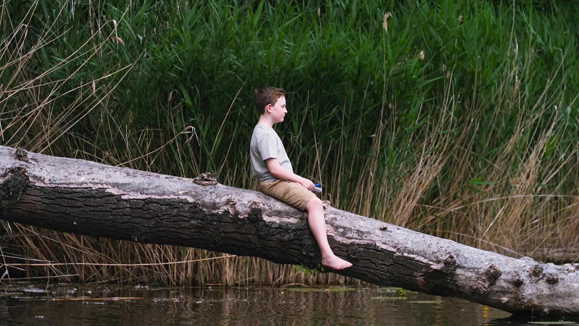 Auf dem Bild sitzt ein Junge auf einem großen, verankerten Baumstamm, der über das Wasser der Alten Donau ragt. Der Junge trägt ein graues T-Shirt und beige Shorts. Er hat kurze, braune Haare und schaut nachdenklich in die Ferne. Um ihn herum sind hohe, grüne Schilfpflanzen, die am Ufer wachsen. Der Hintergrund ist von weichem Wasser und einer ruhigen, natürlichen Umgebung geprägt, was eine friedliche Atmosphäre vermittelt. Der Baumstamm, auf dem er sitzt, ist grau und zeigt eine sichtbare Struktur der Baumrinde. Die gesamte Szenerie ist idyllisch und spiegelt die Verbindung zur Natur wider.