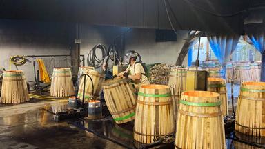 Eichenfassproduktion