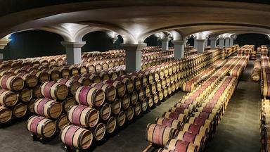Weinkeller im Chateau Margaux