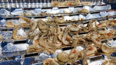 Crevette blanche (weiße Garnelen)