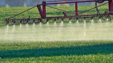 Pestizide werden auf einem Feld versprüht.