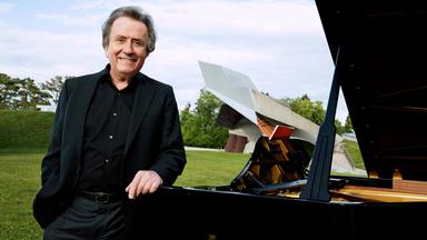 Ein Mann lehnt an einem Flügel, der auf einer Wiese steht