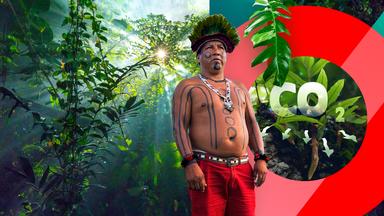 Ein Indigener Protagonist vor Regenwald und einem der Schrift CO2