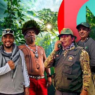 Vier Protagonisten der Staffel vor einem Bild des Regenwaldes