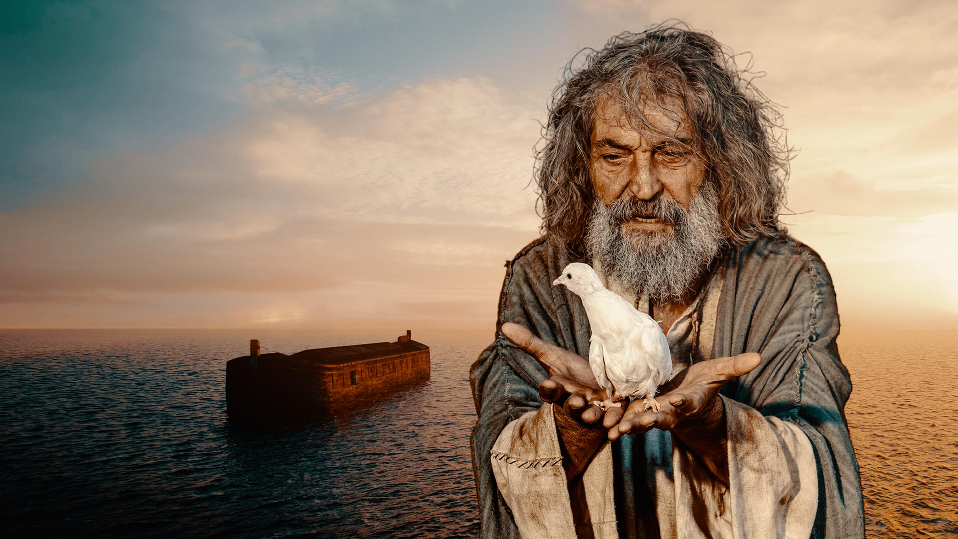 Spielszene: Noah (Dimitar Selenski) hält eine weiße Taube in den Händen.