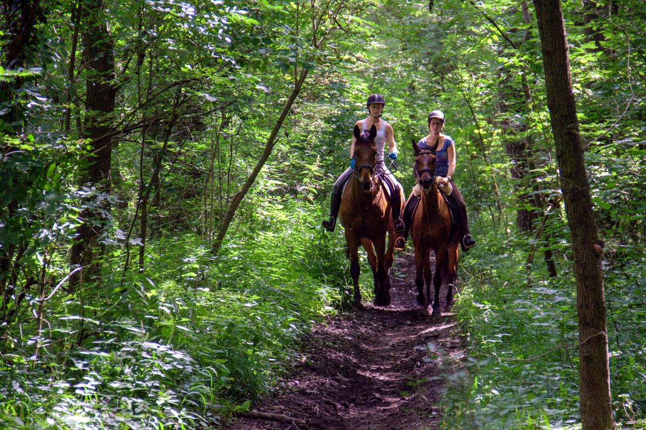 Reiterinnen im Wiener Prater