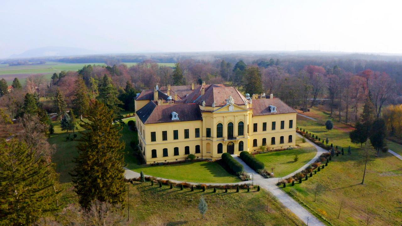 Schloss Eckartsau, Wohnraum von Zita und Karl.