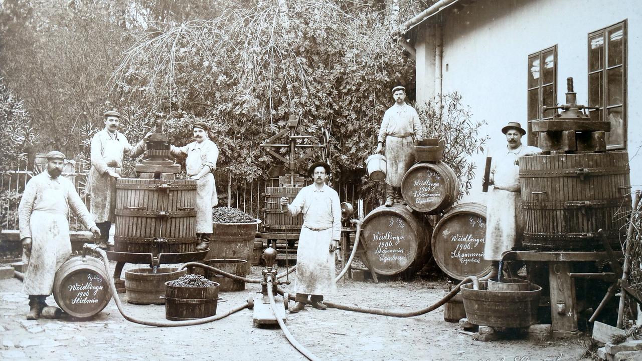 Historischers Foto von 1906, Arbeiter füllen auf einem Weingut Sekt ab