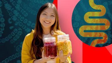 teaser healthy food – fermentieren clean