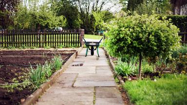 Eine Schubkarre steht auf einem Weg im Schrebergarten