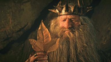 Durin III. steht in einem dunklen Raum. Er trägt eine Krone auf dem Kopf. In seiner Hand hält er ein Blatt von einem Baum.