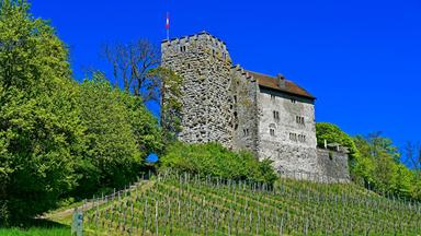 Eine Burg mit Schweizerfahne vor strahlend blauem Himmel an einem Weinberg gelegen