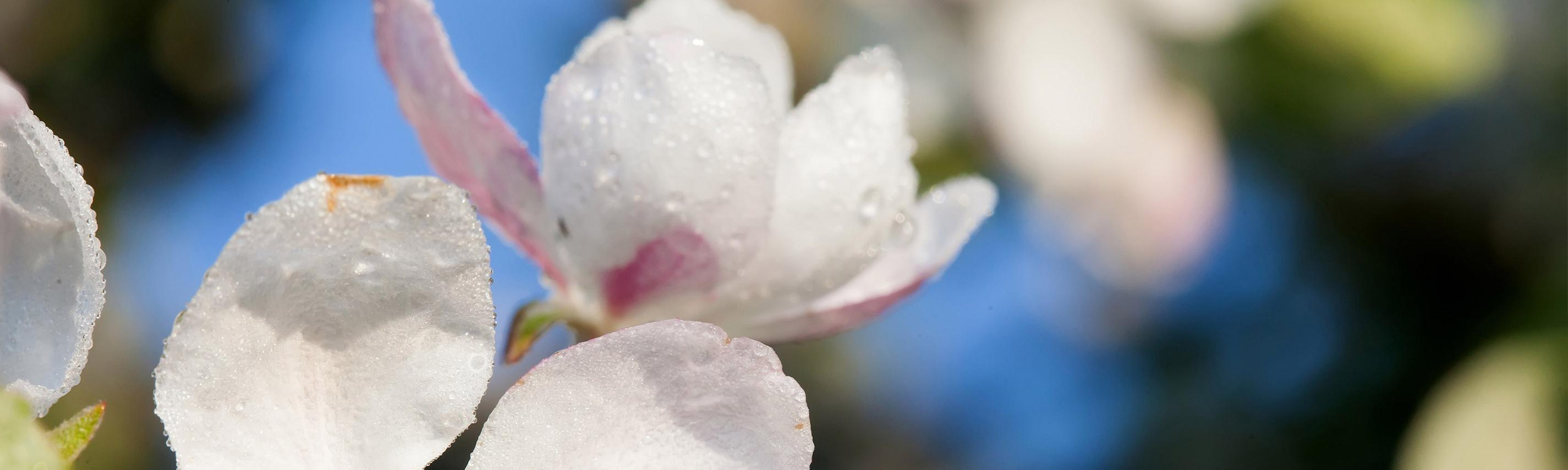 Bilder aus Südtirol