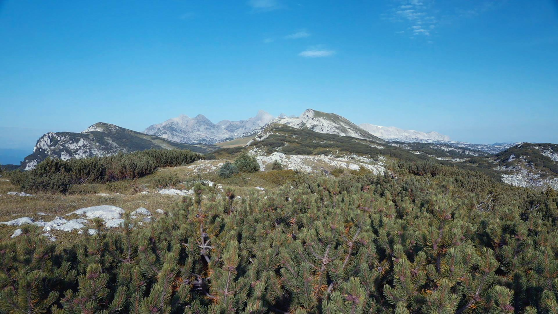 Das Dachsteingebirge